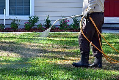 What Do Lawn Care Services Do?